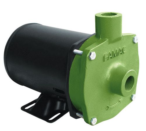 Bomba Centrifuga Famac FSG P 1/2Cv 117mm de Rotor 127/220V Monofasico